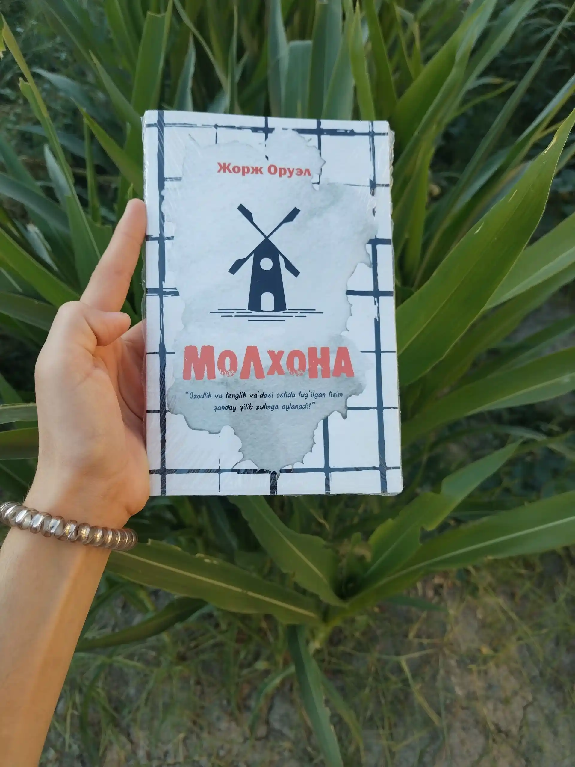 Молхона, Жорж Оруэлл