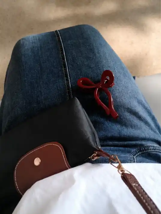 Mini Longchamp uslubidagi ayollar sumkasi, ixcham krossbodi va kosmetika sumkachasi