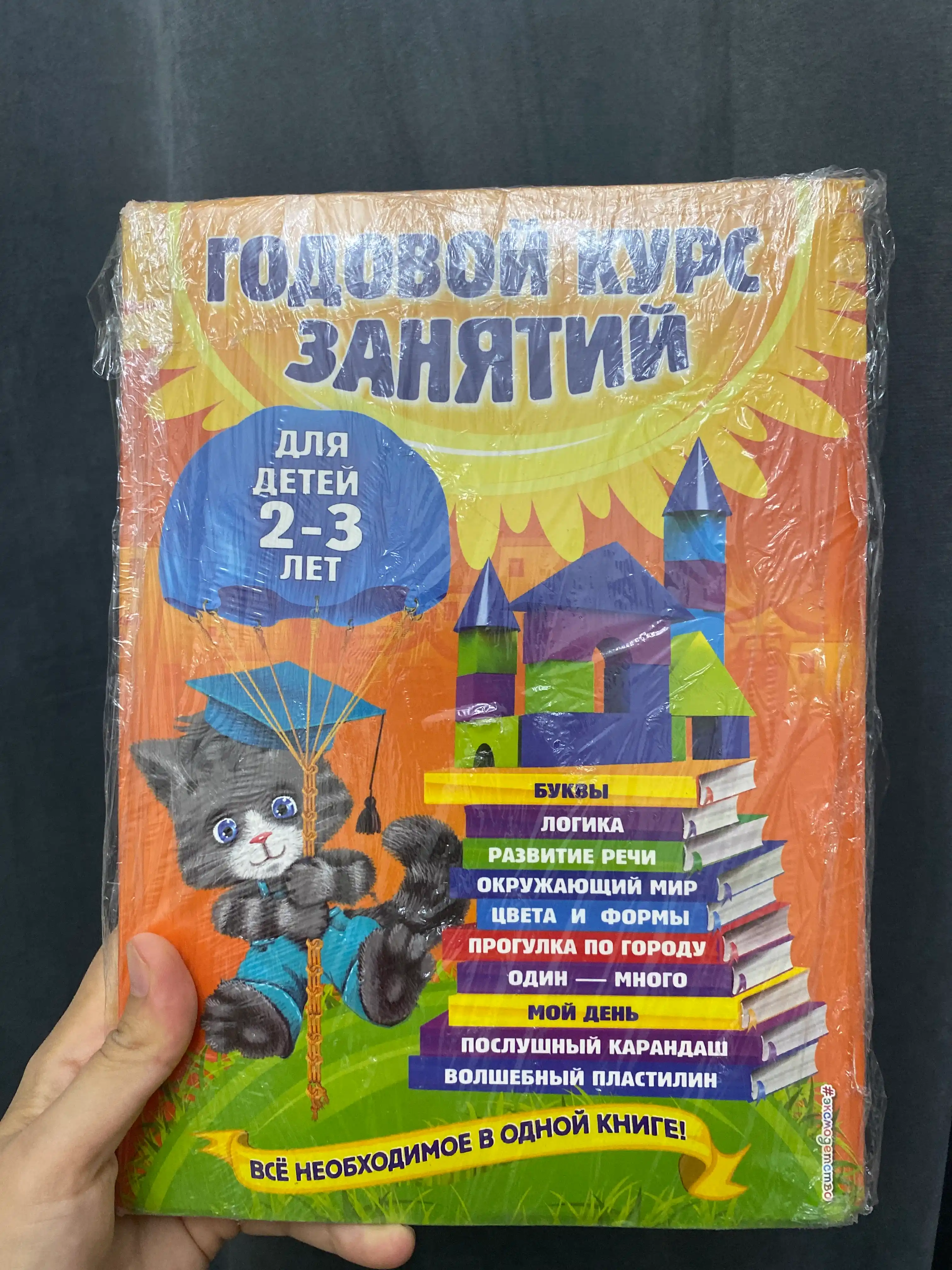 Годовой курс занятий: для детей 2-3 лет, О.Гурская, А.Далидович, Т.Мазаник
