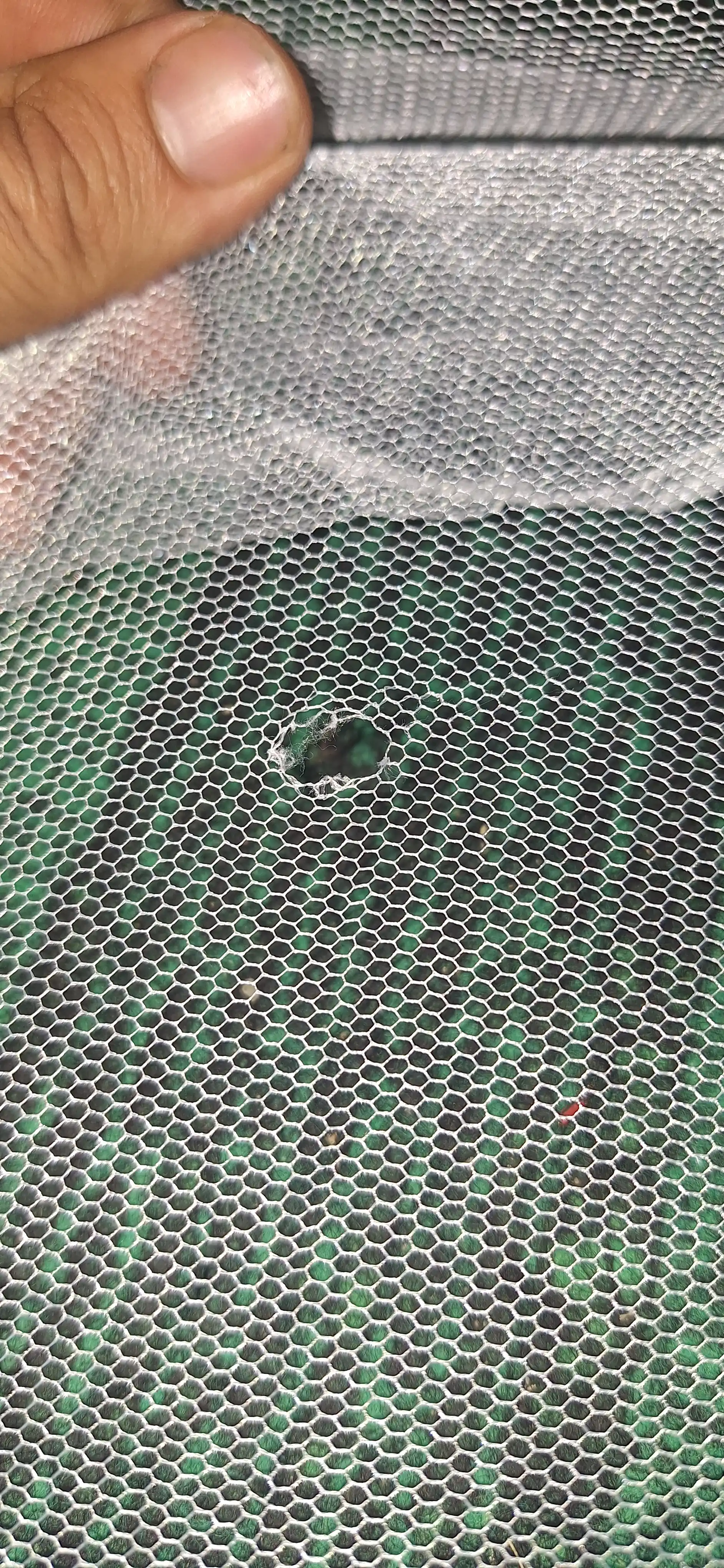 Chivinlarga qarshi to'r, pashshaxona 240 sm, ga 240 sm