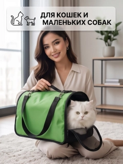 Лайм