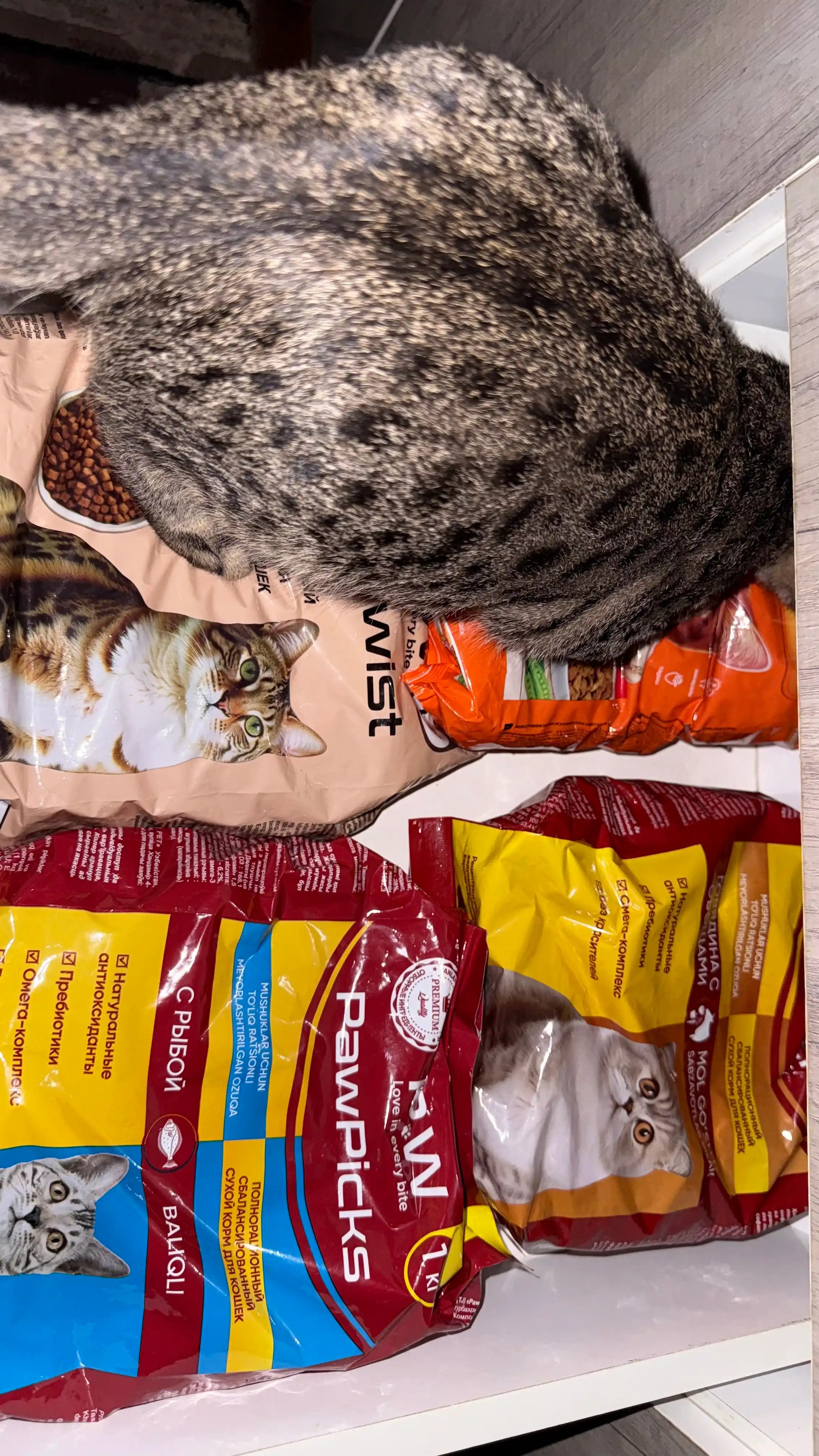 Paw Picks сухой корм для кошек с говядиной и овощами, 1 кг