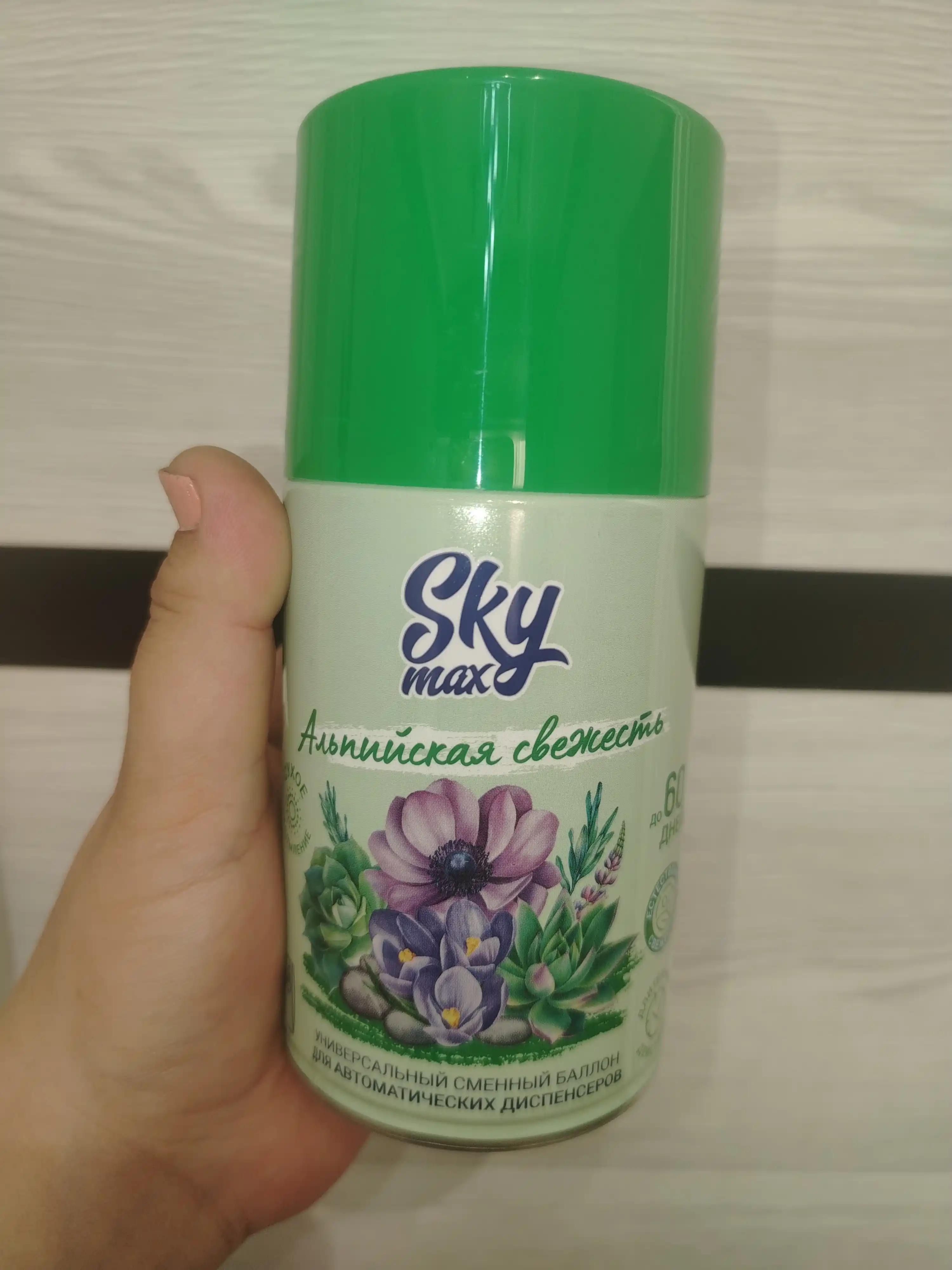 SKYMAX Alpine Freshness almashtiruvchi havo spreyi 250 ml, Rossiya