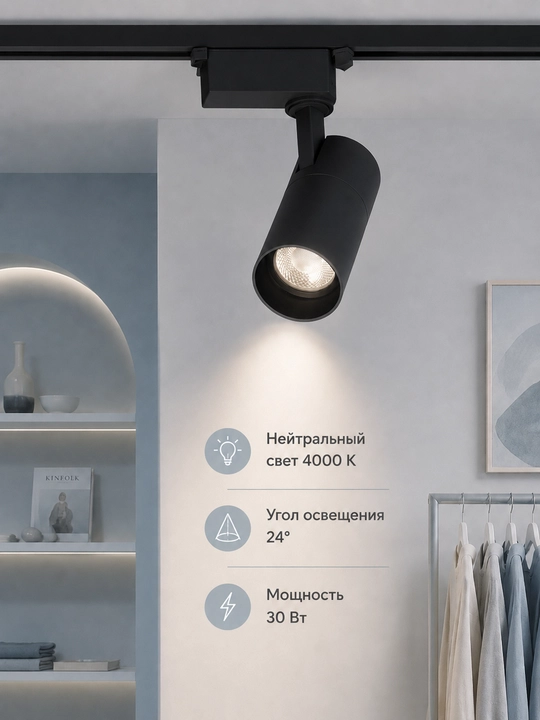 LED yo'l chiroqchasi IEK DTO 1303 30W 4000K 24° bir fazali