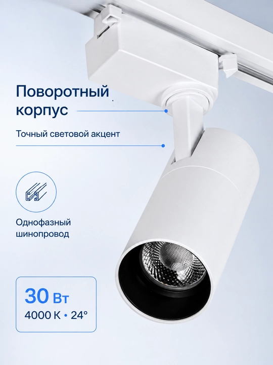 LED yo'l chiroqchasi IEK DTO 1303 30W 4000K 24° bir fazali
