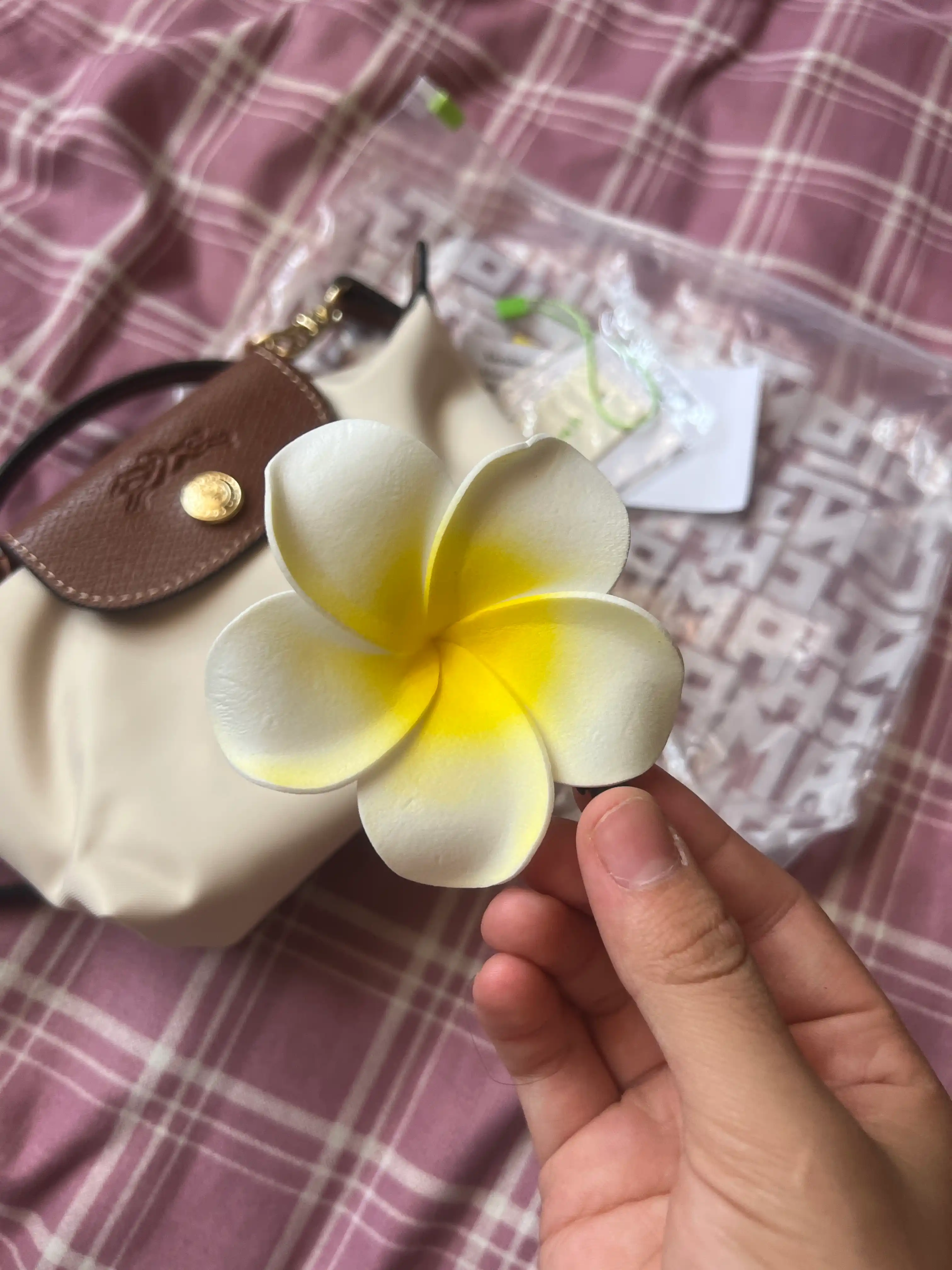 Сумка Longchamp Paris, брендовая сумка, сумка для девочек и женщин