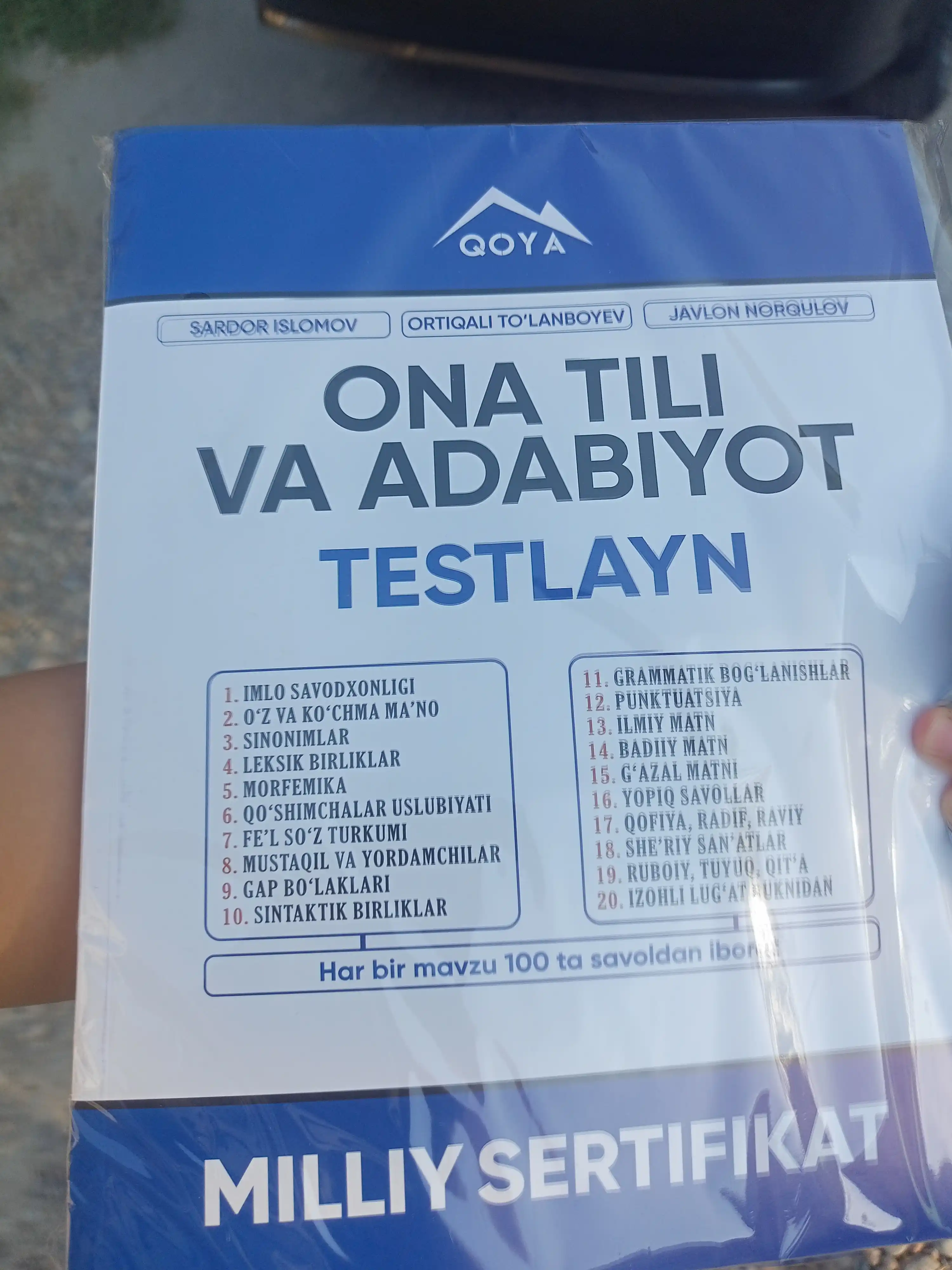Родной язык и литература, Testlayn, Национальный сертификат