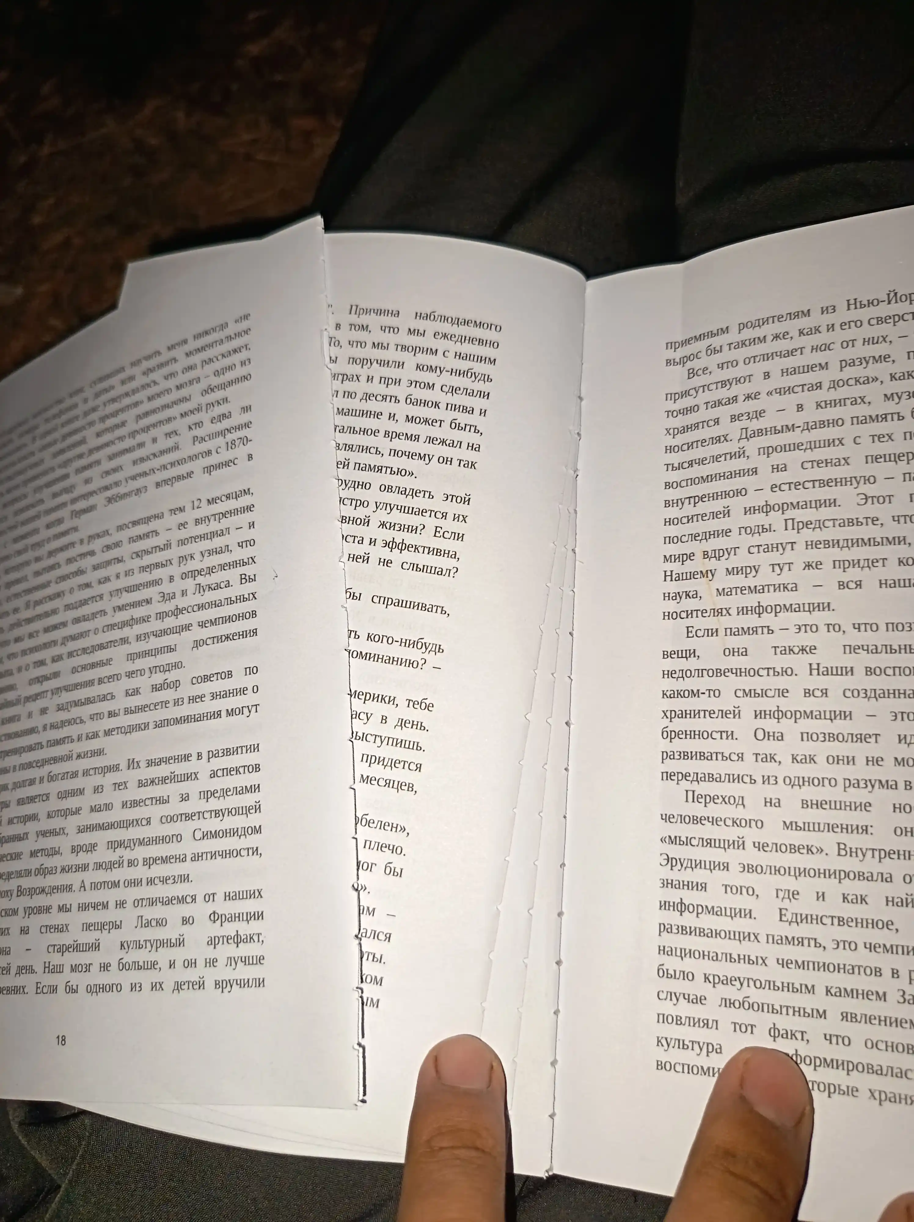 Eynshteyn gulyayet po Lune, Dzhoshua Foyer