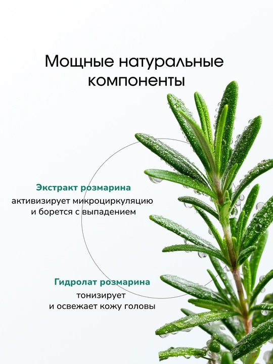 LABA Rosemary soch o'sishi va mustahkamlash uchun tonigi, 150 ml