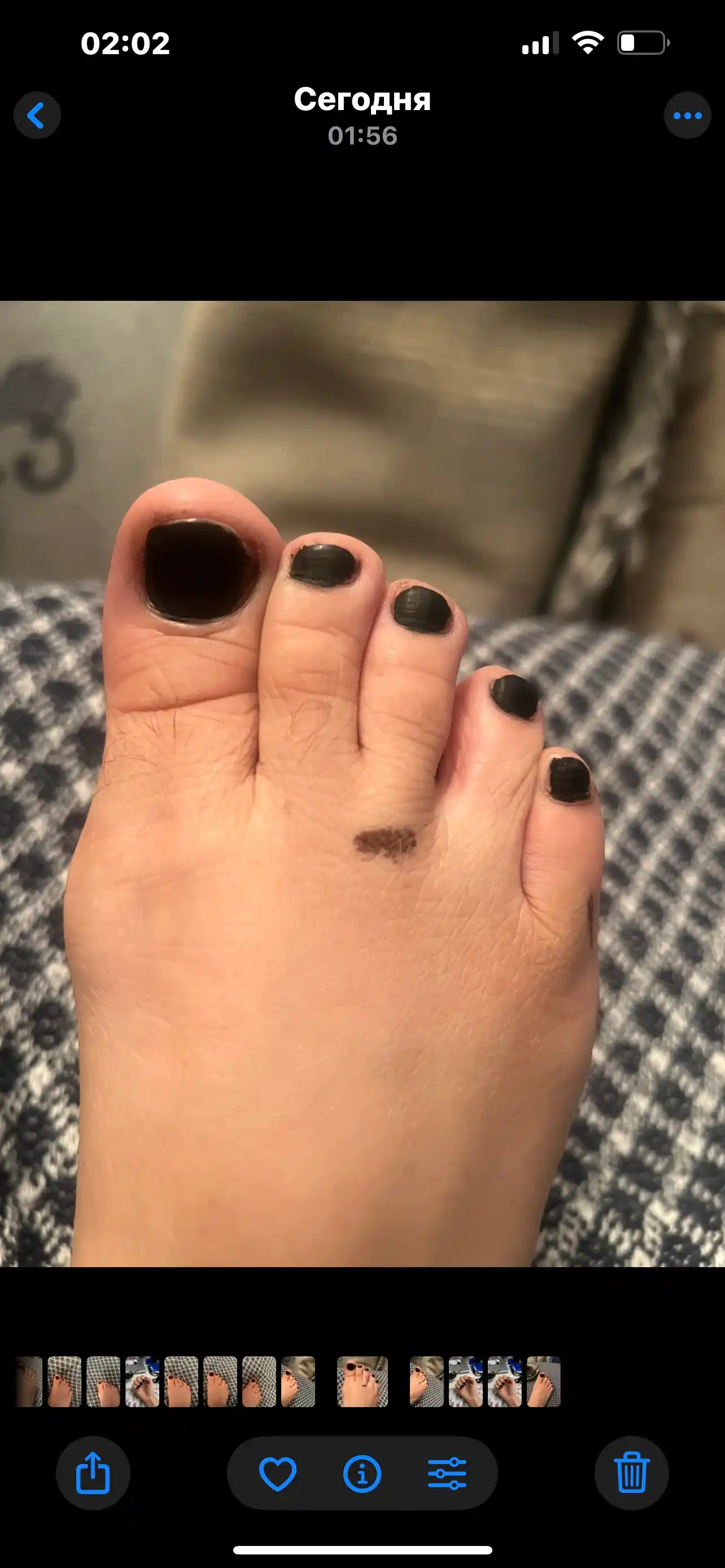 Tabiiy xina Al Arabia mehendi va tirnoqlarni bo‘yash uchun