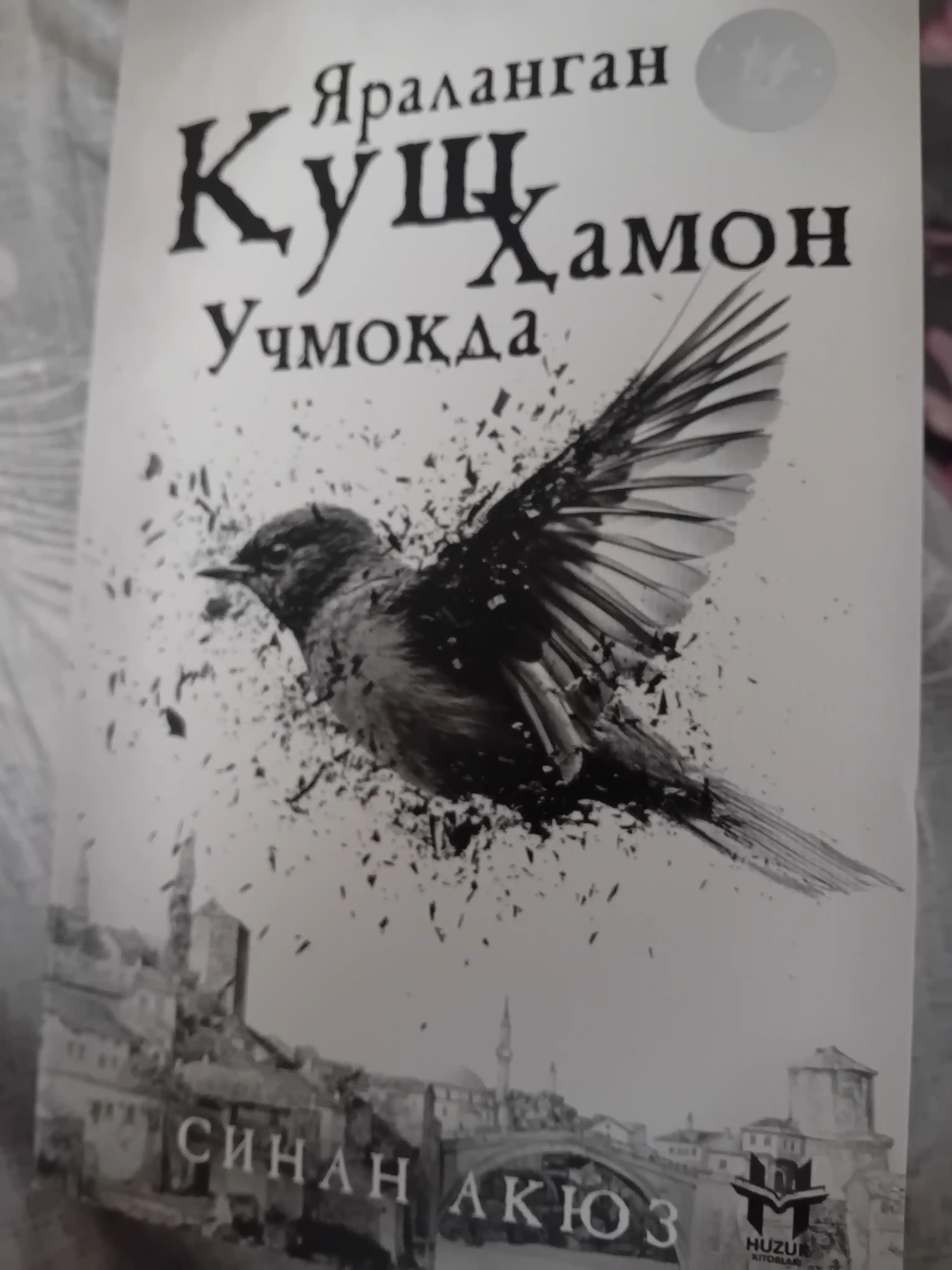Yaralangan qush hamon uchmoqda — Sinan Akyoz  Badiiy roman