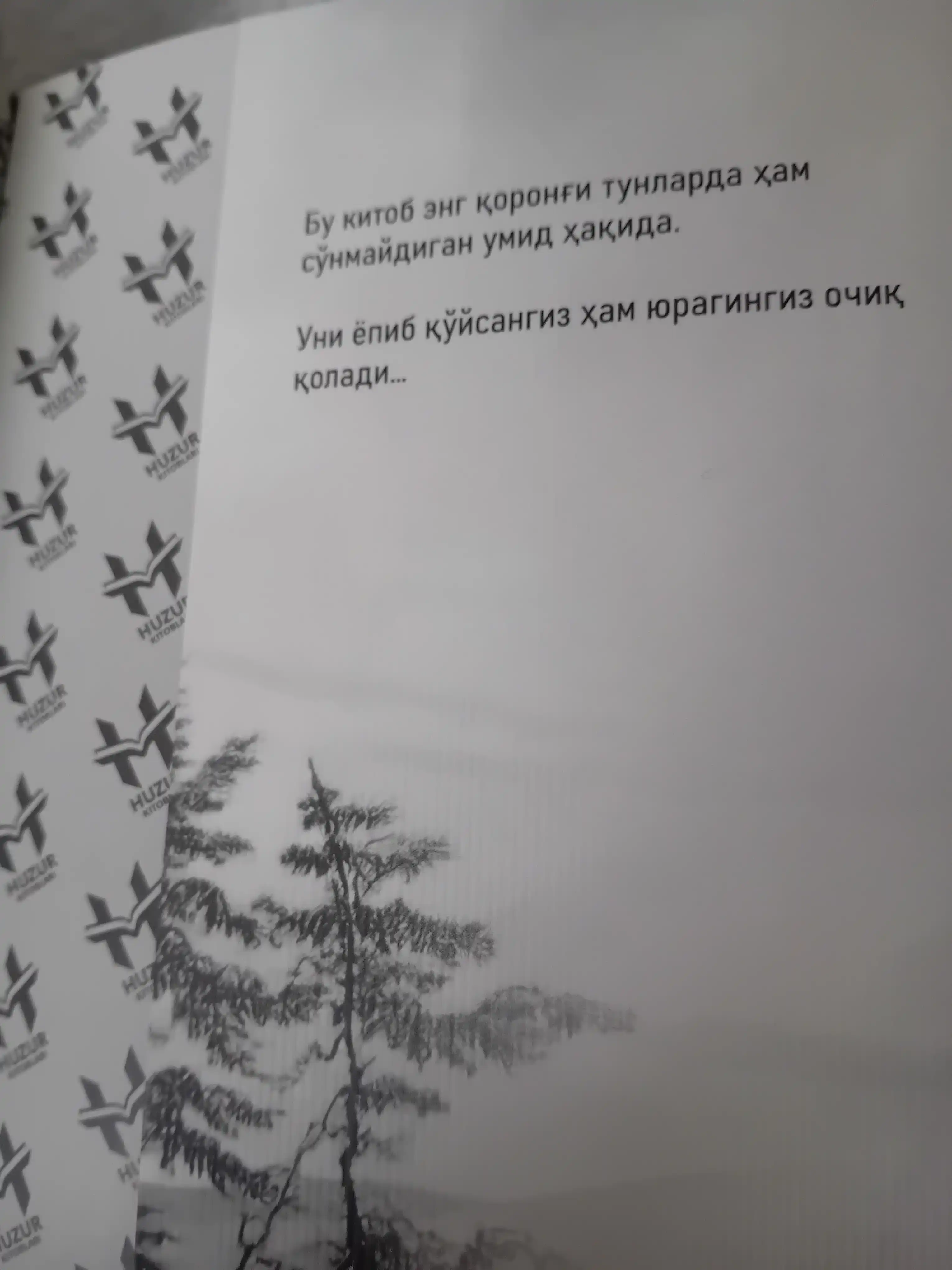 Yaralangan qush hamon uchmoqda — Sinan Akyoz  Badiiy roman