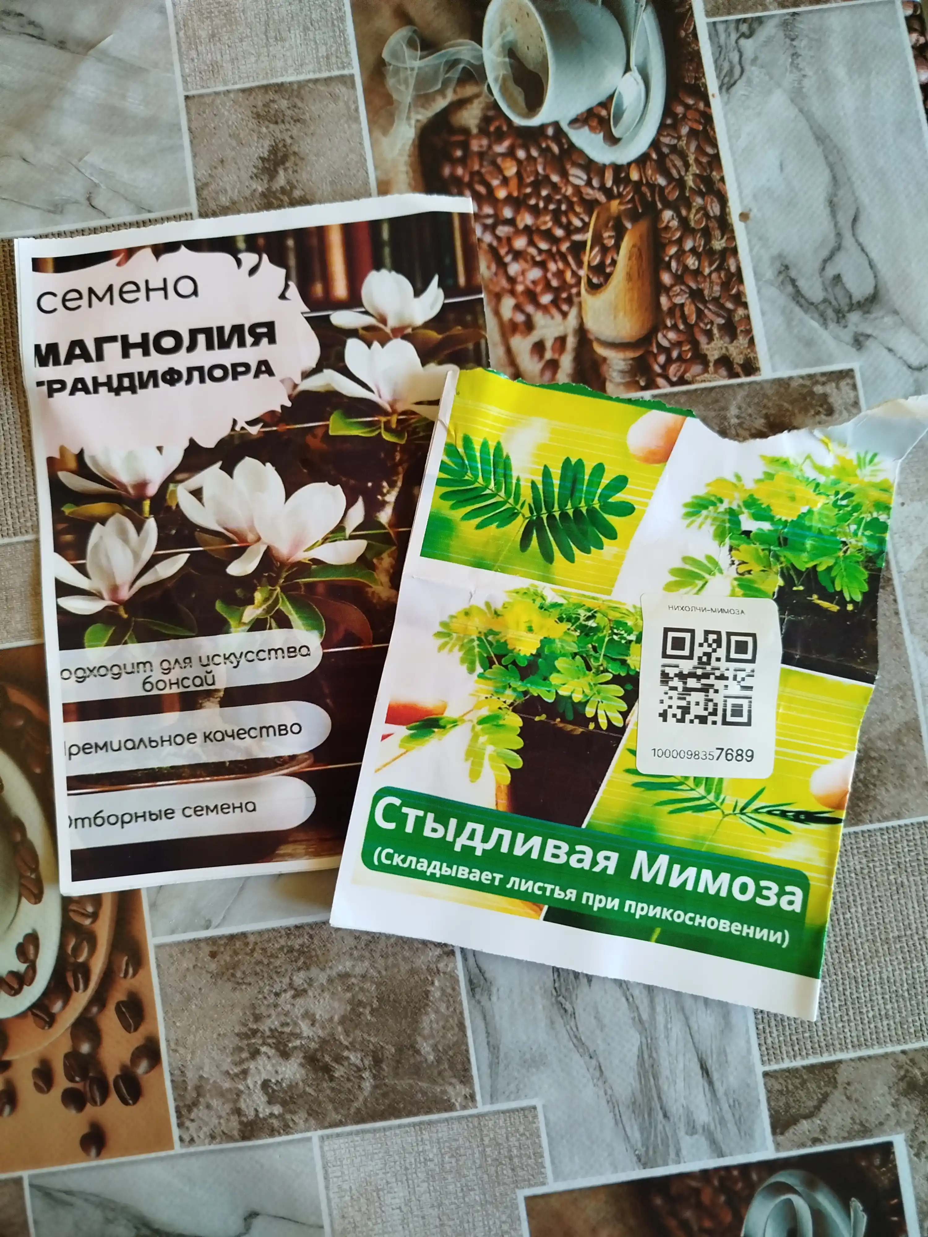 Tortinchoq mimoza urug‘lari, 15 ta urug‘, xona o‘simliklari urug‘lari, ekzotik o‘simliklar