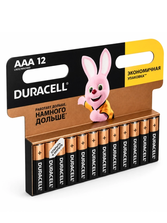 Duracell AAA LR03/MN2400 ishqoriy batareykalar, qadoqda 2 dona