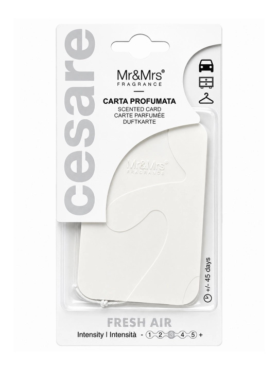 Mr&Mrs Fragrance Cesare Card avtomobil va uy uchun osma aromatizator - 