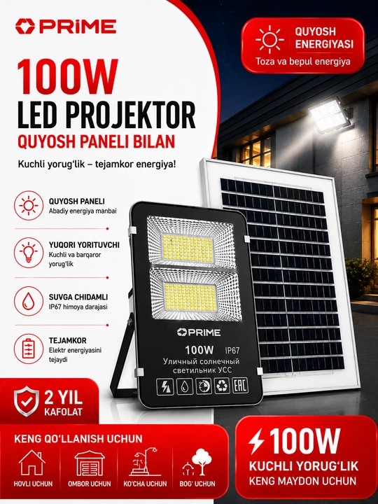 Уличный светильник LED (солнечный) УСС-100 W 6000 K 220-240 VAC P2 - 