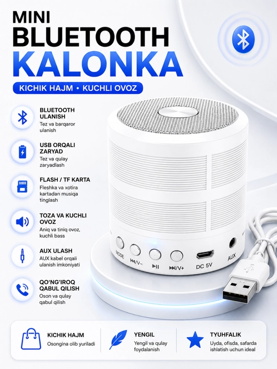 FM, USB, TF, AUX simsiz karnayli WS-887 portativ Bluetooth karnay - 