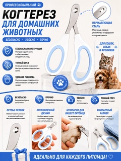 Ледяной