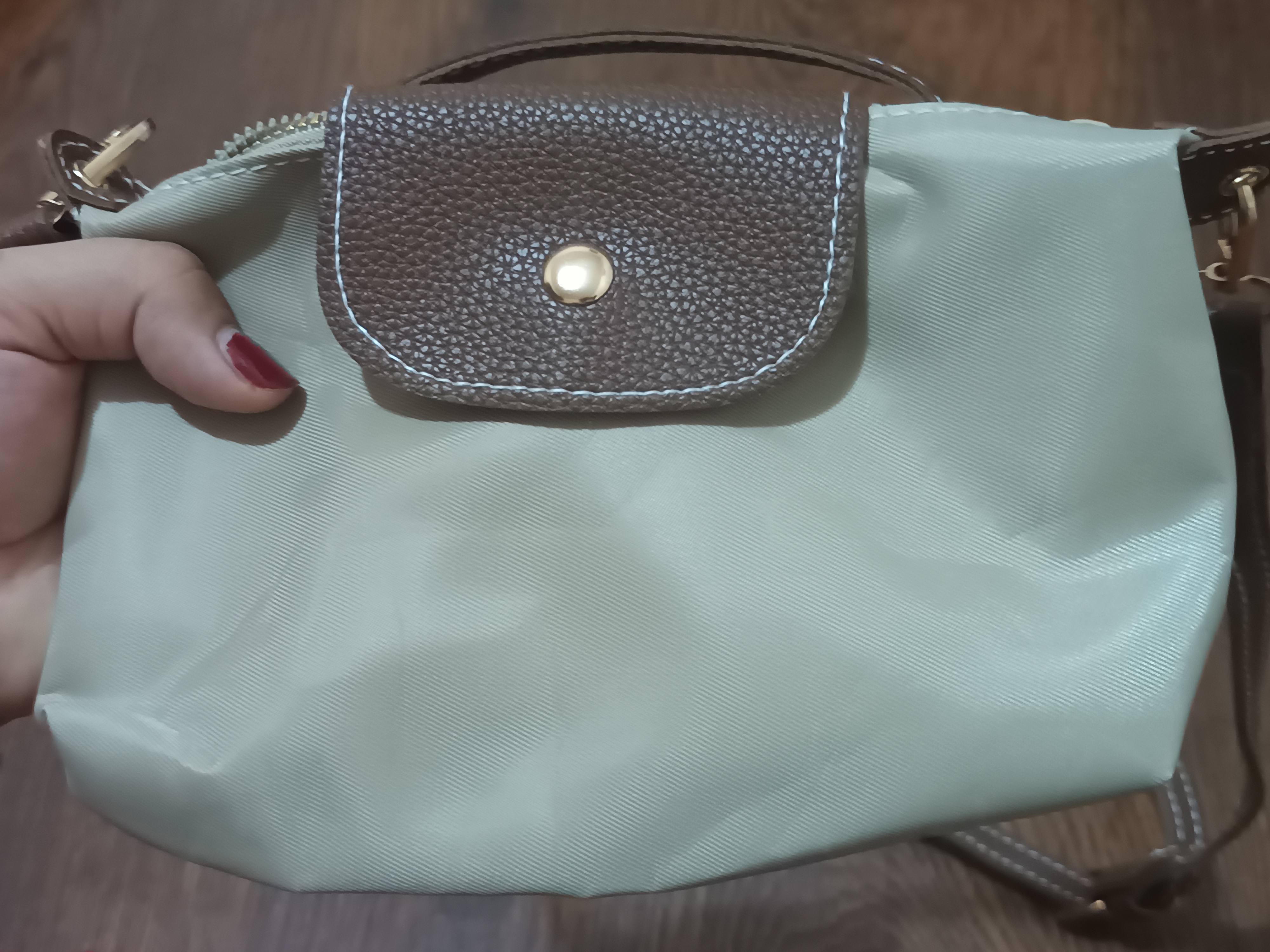 Mini Longchamp uslubidagi ayollar sumkasi, ixcham krossbodi va kosmetika sumkachasi