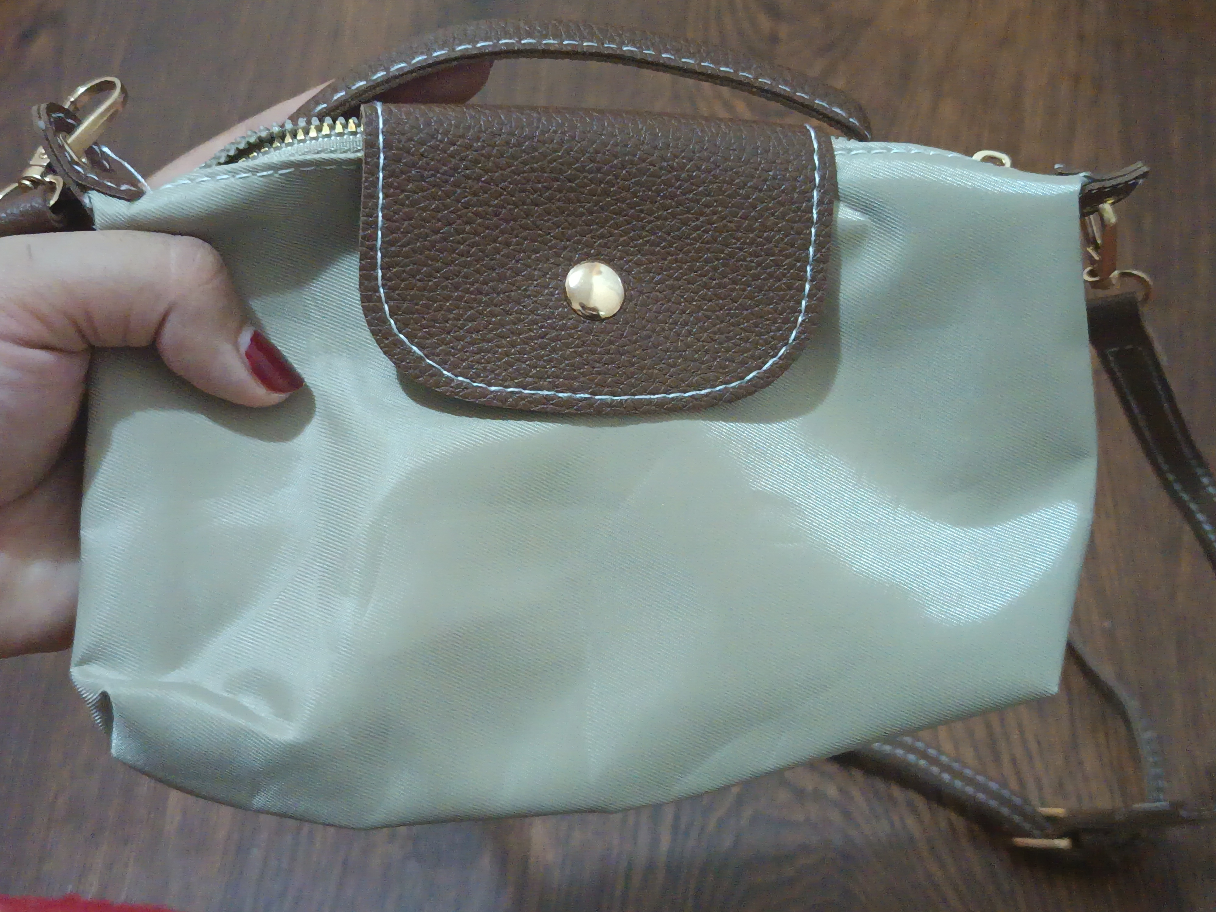 Mini Longchamp uslubidagi ayollar sumkasi, ixcham krossbodi va kosmetika sumkachasi