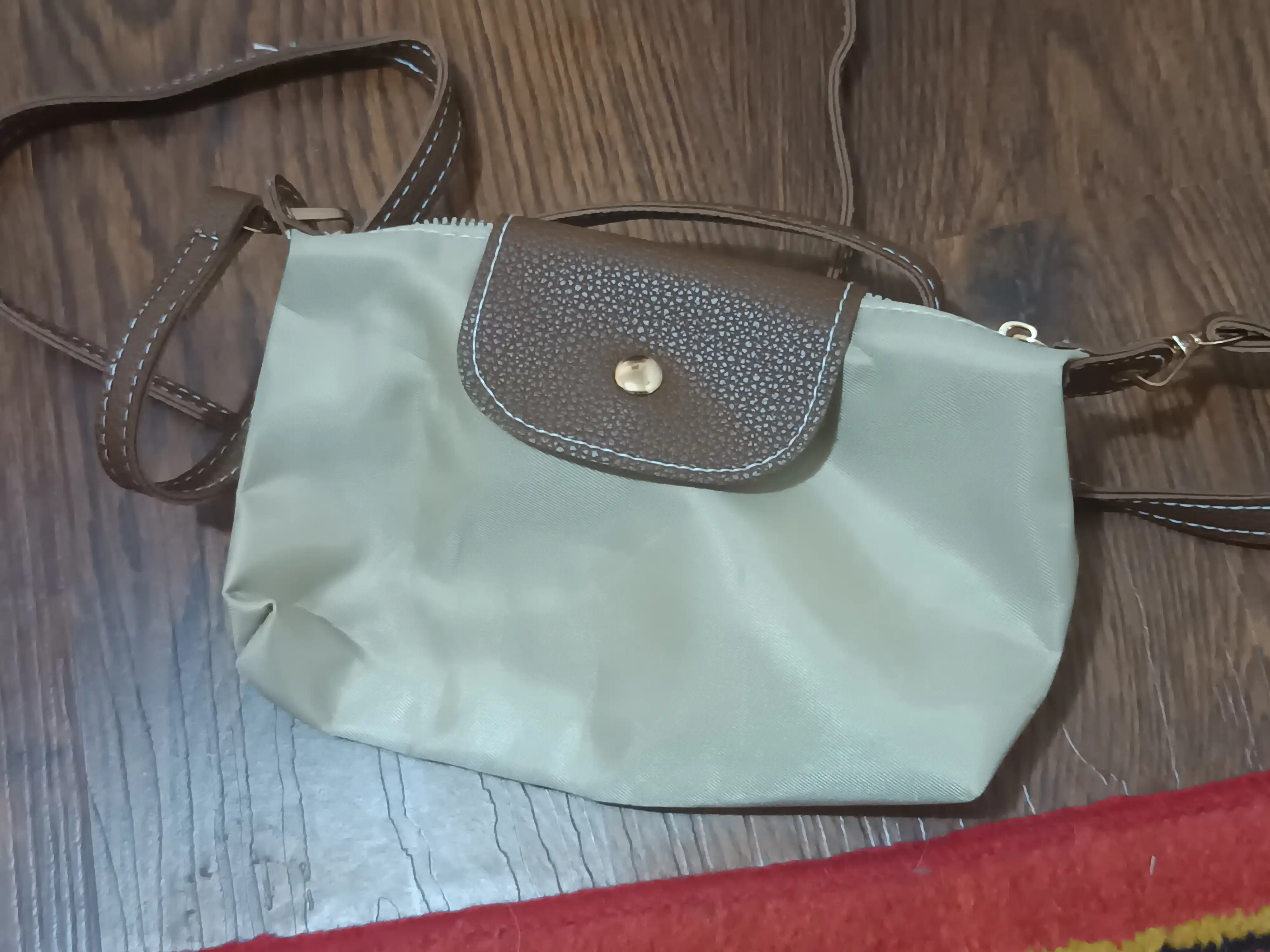 Mini Longchamp uslubidagi ayollar sumkasi, ixcham krossbodi va kosmetika sumkachasi