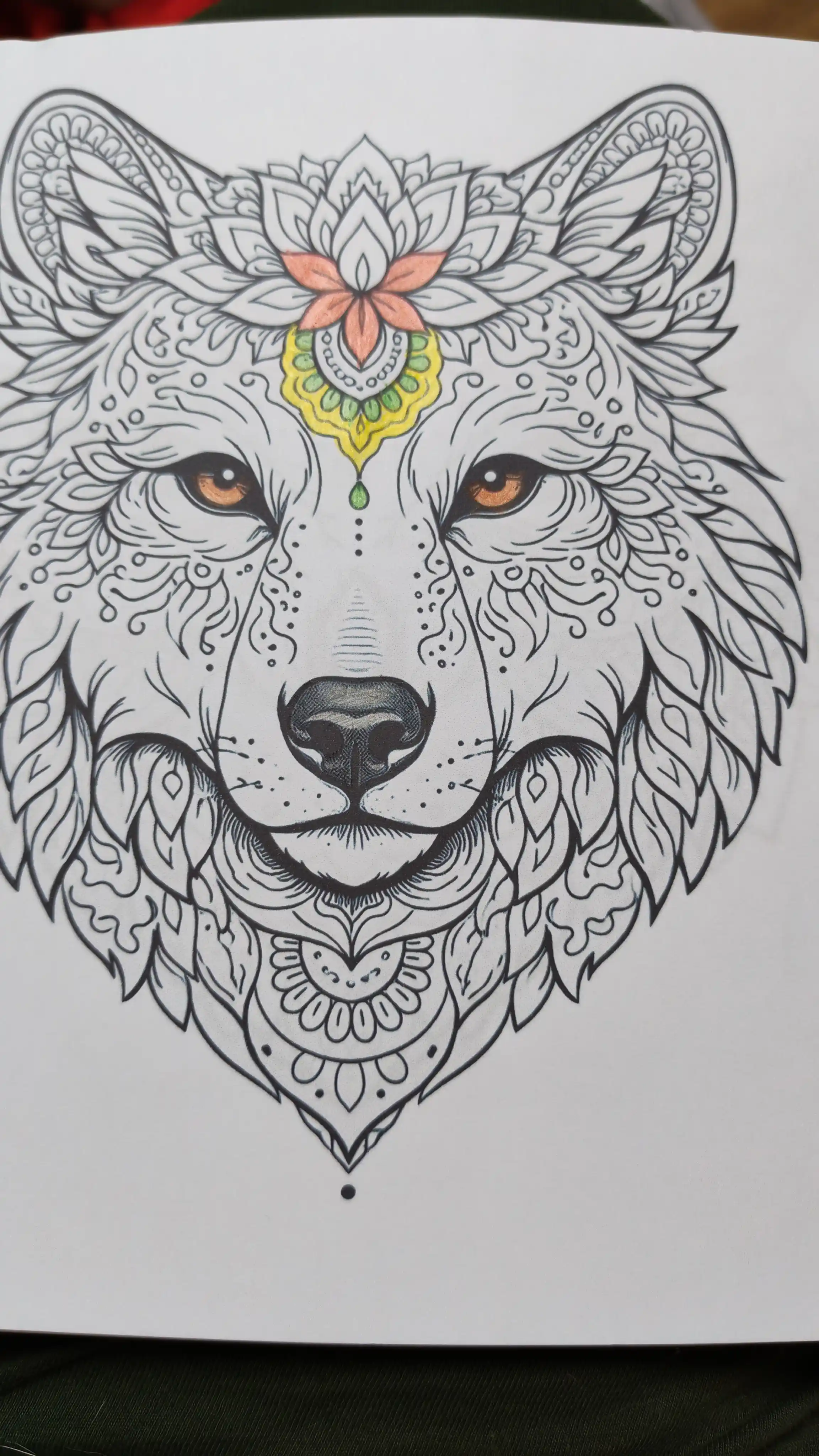 Mandala antistress bo‘yash kitobi spiral muqova