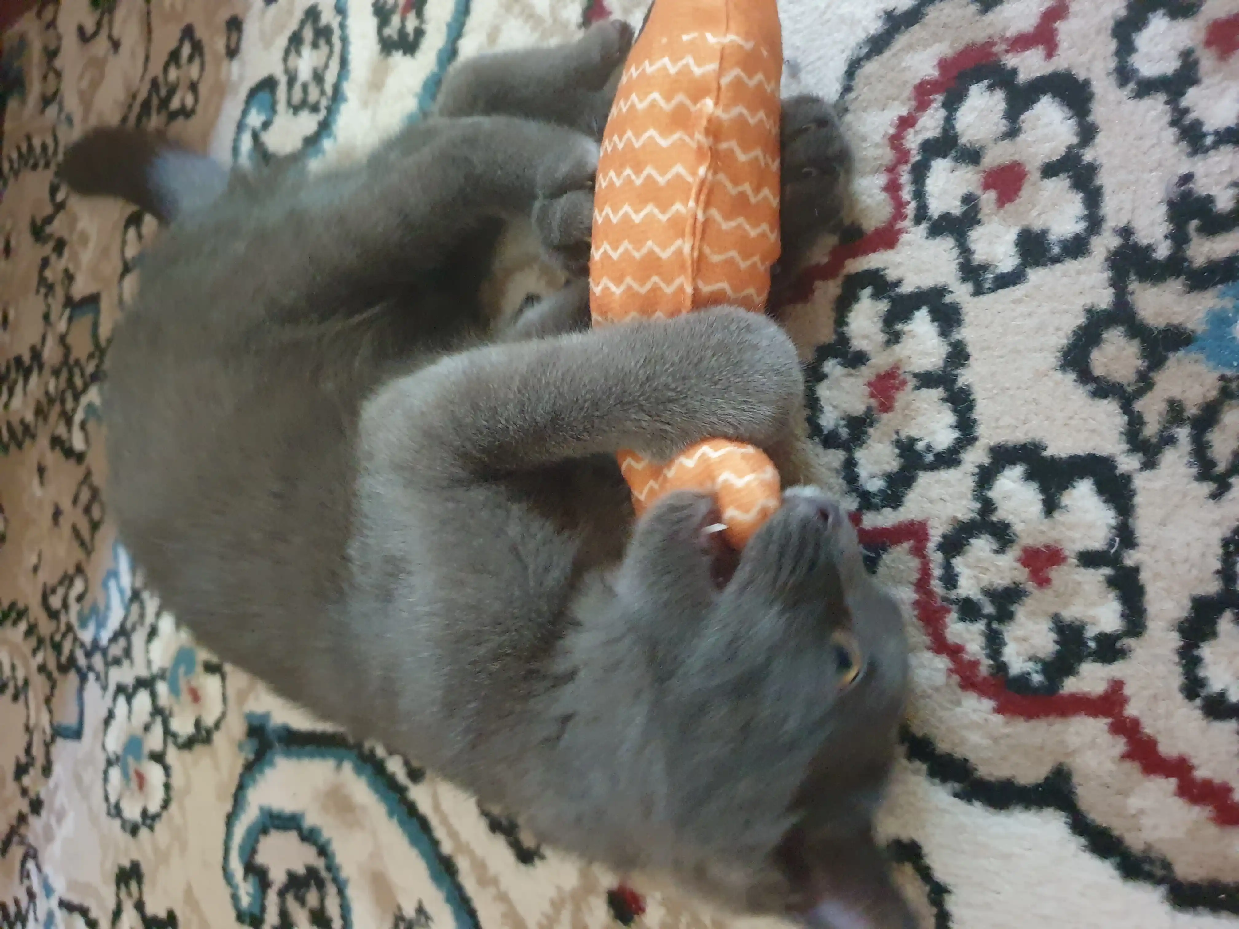 Игрушка для кошек рыбка с кошачьей мятой и валерианой