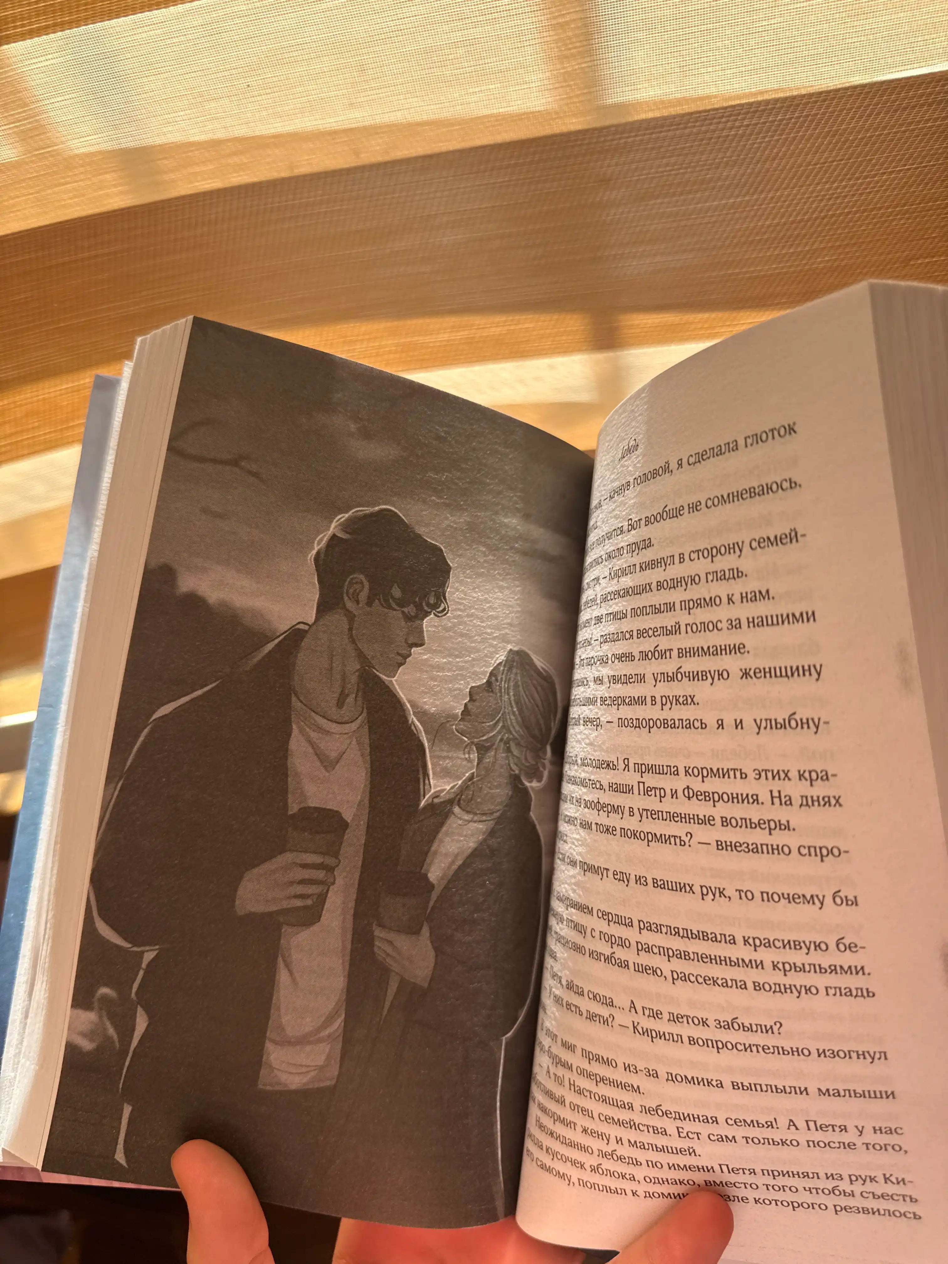 На крыльях любви. Книга 2. Лебедь — Э. Грин | Роман о любви