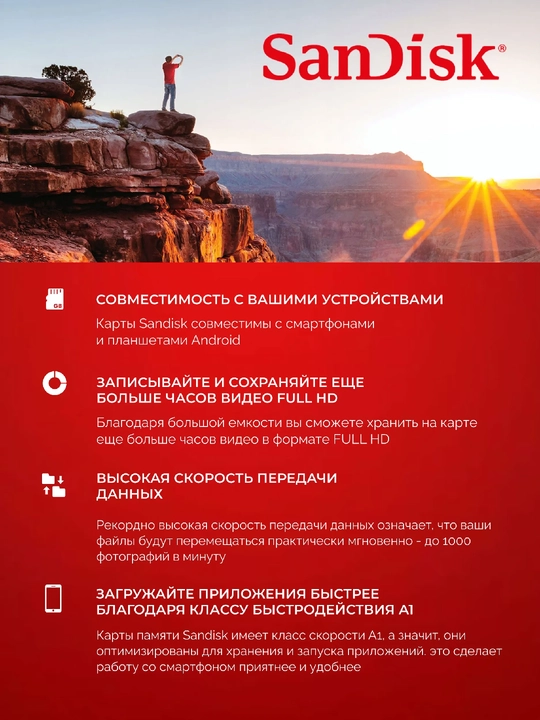 SanDisk MicroSD и USB флешки