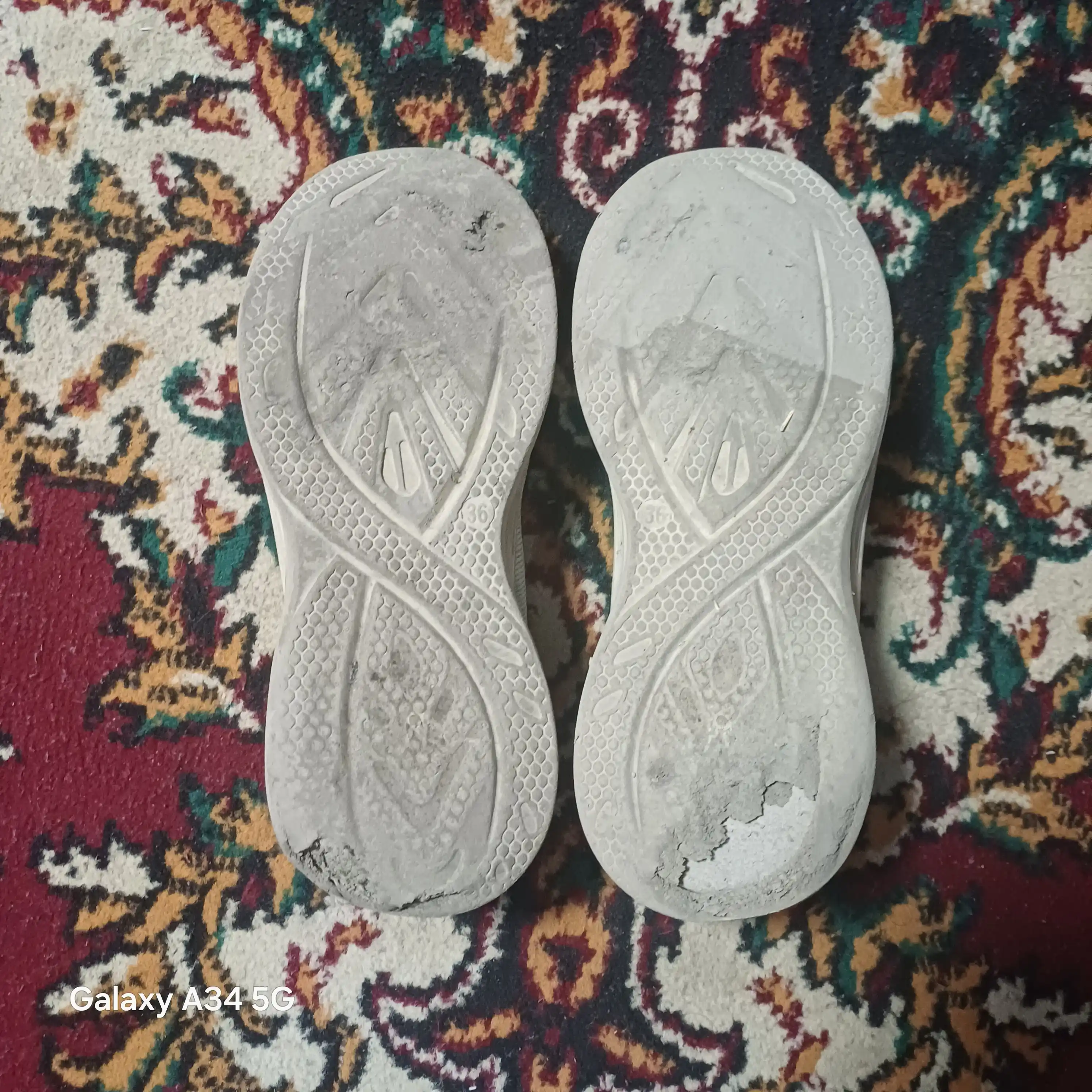 Shoozz ayollar uchun  to'rli engil krossovkalar