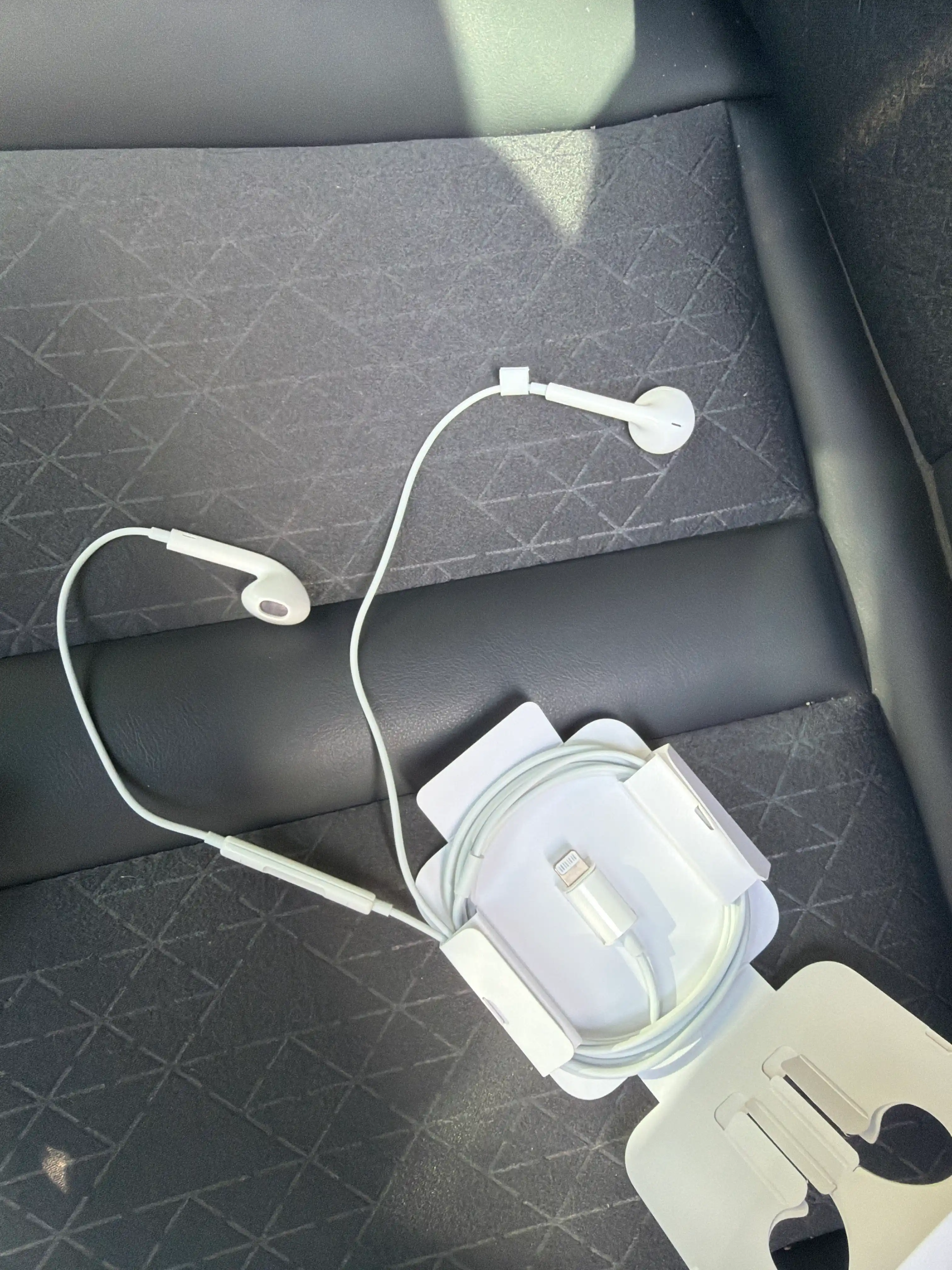 Apple EarPods ORG Lightning / USB-C — проводные наушники с микрофоном и пультом управления
