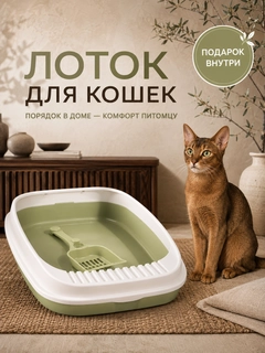 Бирюзовый