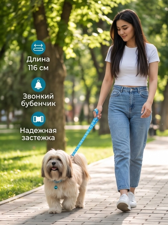 Комплект ошейник с поводком и бубенчиком BOBRIKGORA для мелких собак и кошек