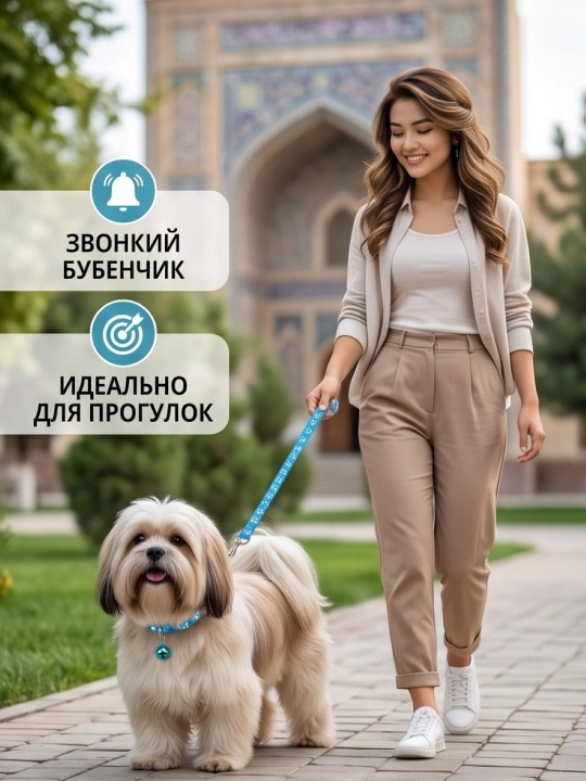 Комплект ошейник с поводком и бубенчиком BOBRIKGORA для мелких собак и кошек