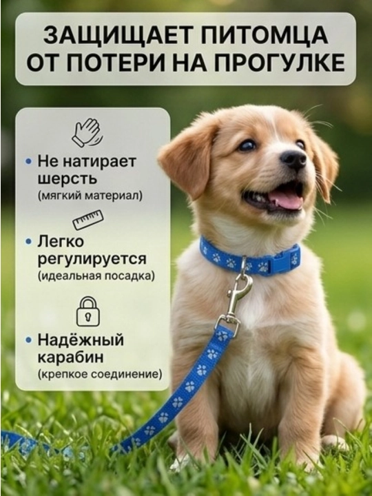 Комплект ошейник с поводком и бубенчиком BOBRIKGORA для мелких собак и кошек