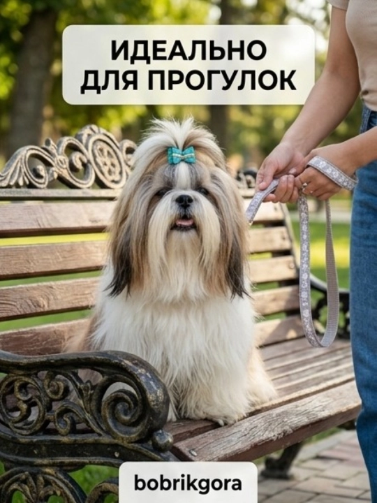 Комплект ошейник с поводком и бубенчиком BOBRIKGORA для мелких собак и кошек