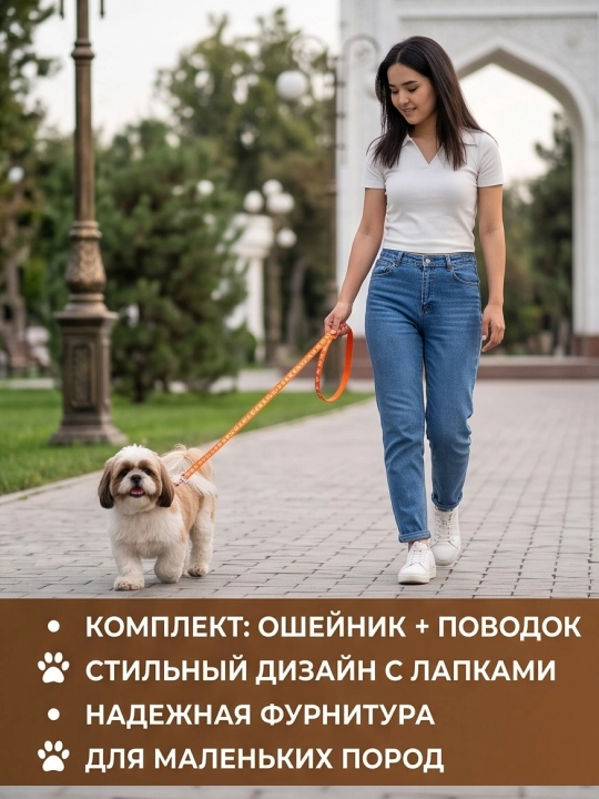 Комплект ошейник с поводком и бубенчиком BOBRIKGORA для мелких собак и кошек