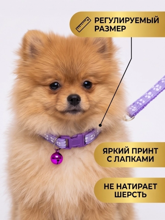 Комплект ошейник с поводком и бубенчиком BOBRIKGORA для мелких собак и кошек
