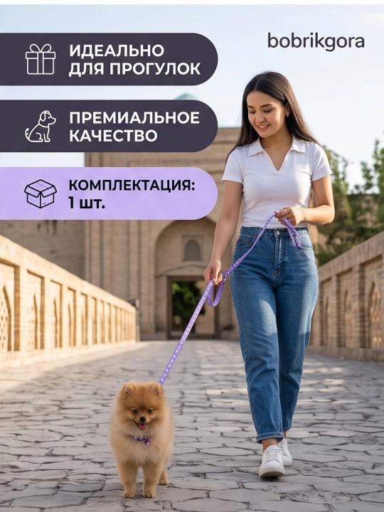 Комплект ошейник с поводком и бубенчиком BOBRIKGORA для мелких собак и кошек