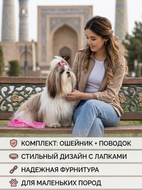 Комплект ошейник с поводком и бубенчиком BOBRIKGORA для мелких собак и кошек