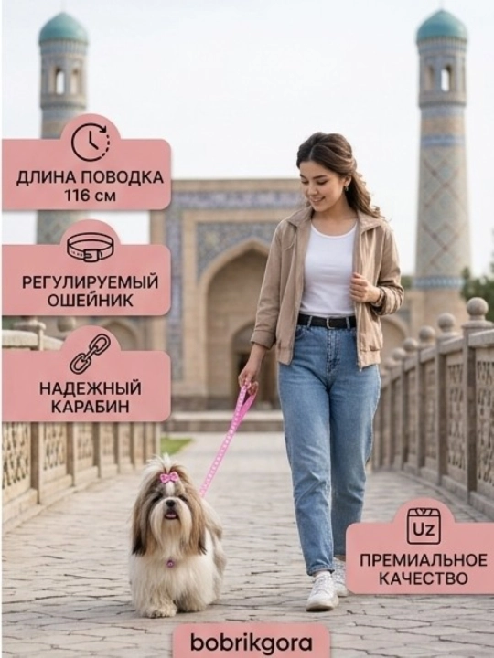 Комплект ошейник с поводком и бубенчиком BOBRIKGORA для мелких собак и кошек