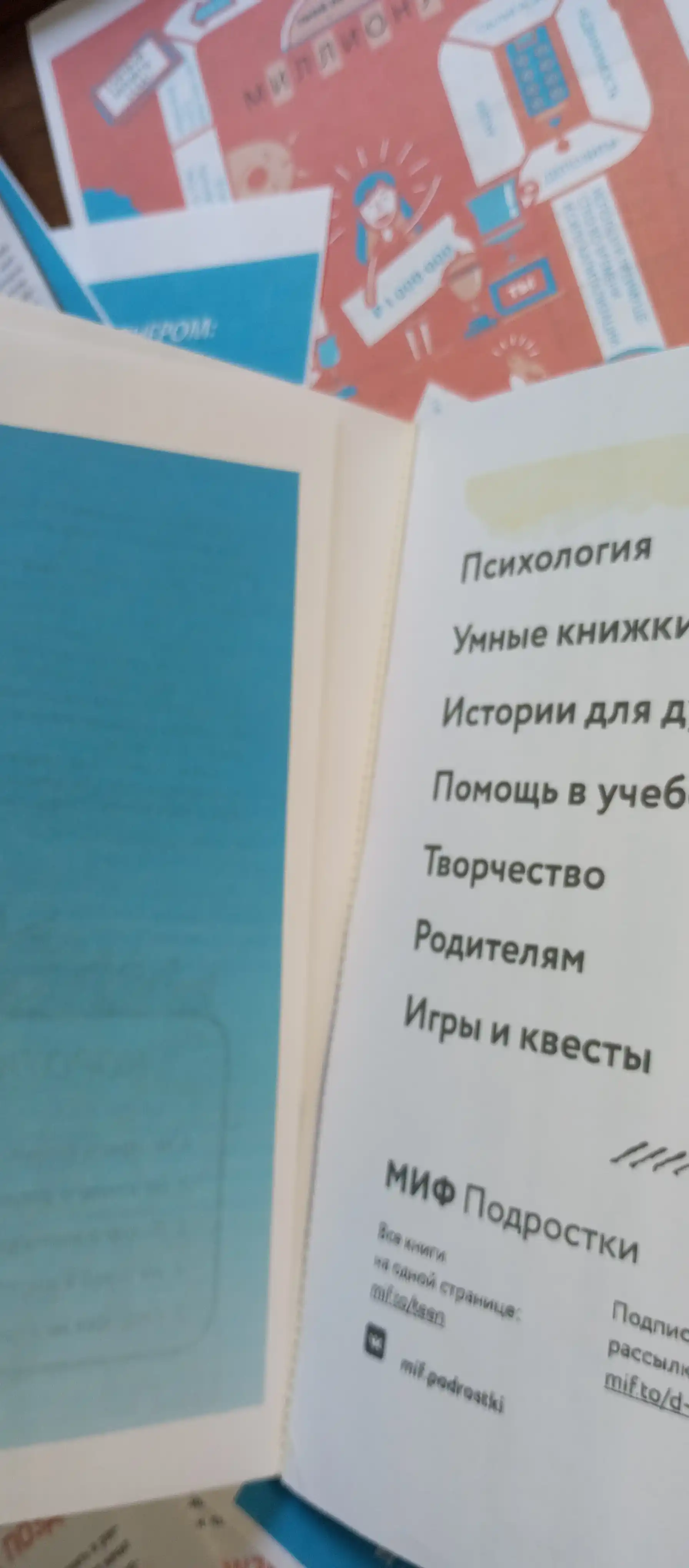 Твой первый миллион как его заработать и не потерять, Джеймс Маккена