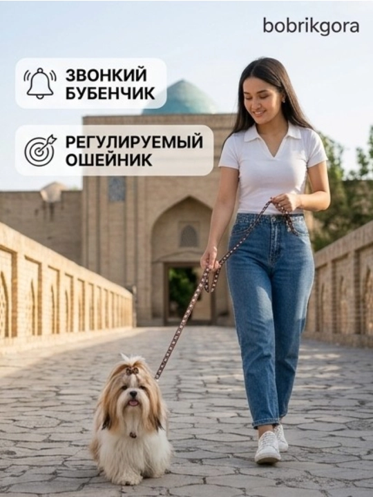 Комплект ошейник с поводком и бубенчиком BOBRIKGORA для мелких собак и кошек