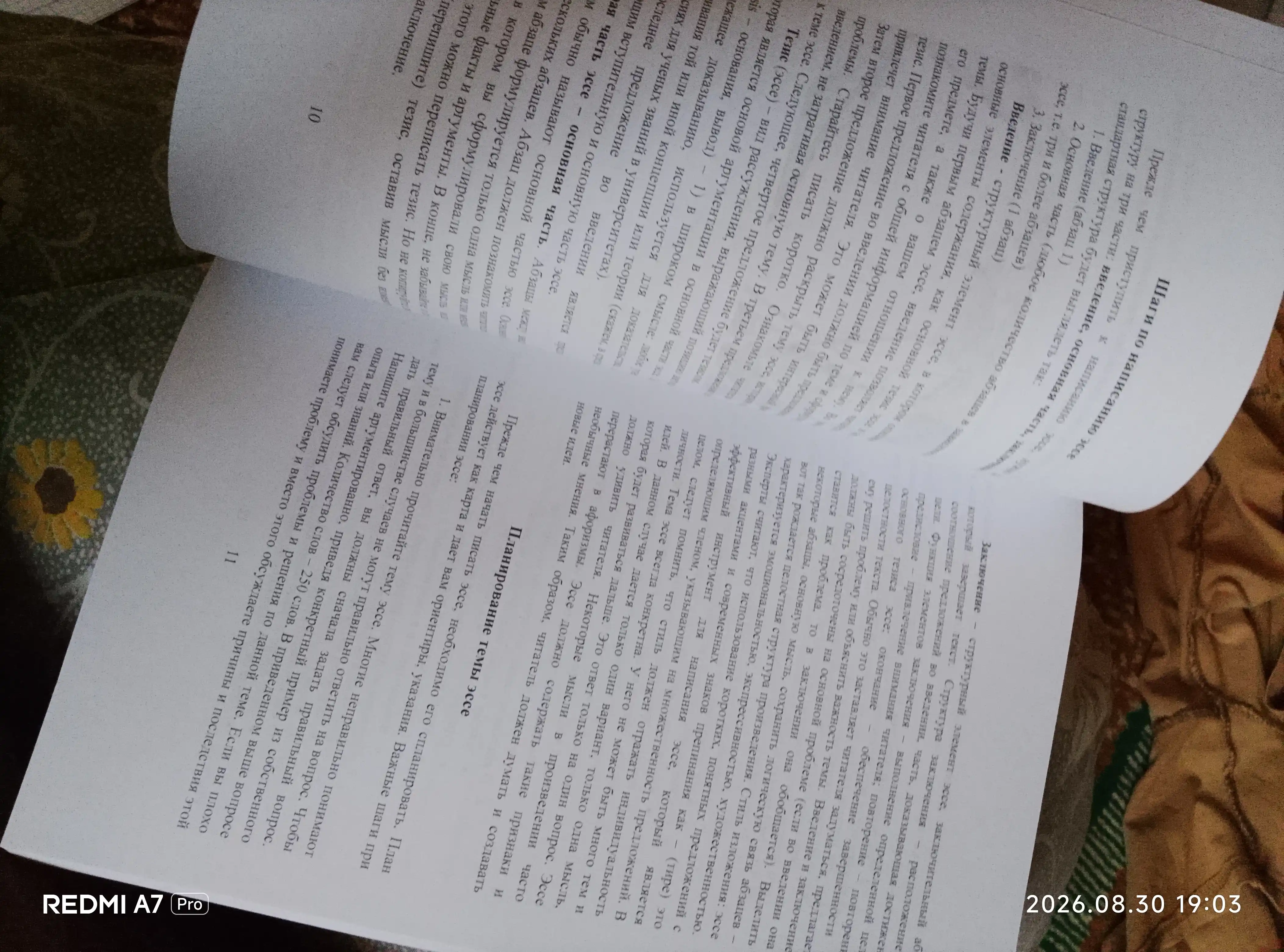 Шаги по написанию эссе, Абдурахманова Шохсанам, русский язык