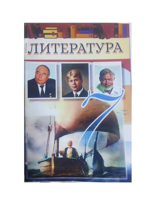 Литература 7 класс 2017 год 367 стр. формат А5 цветная  мягкий переплет