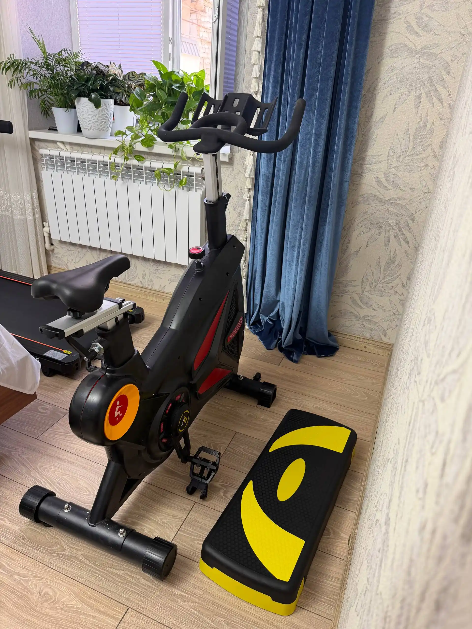 Professional mashq velosipedi– maksimal yuk 150 kg