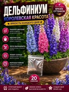 Прозрачный