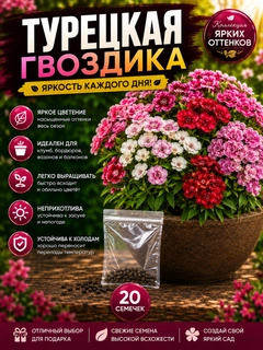 Пудровый