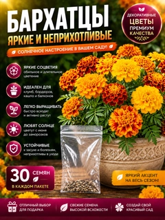 Оранжевый