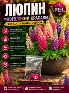 Аметистовый